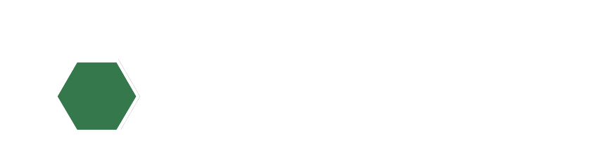 solids logo wit